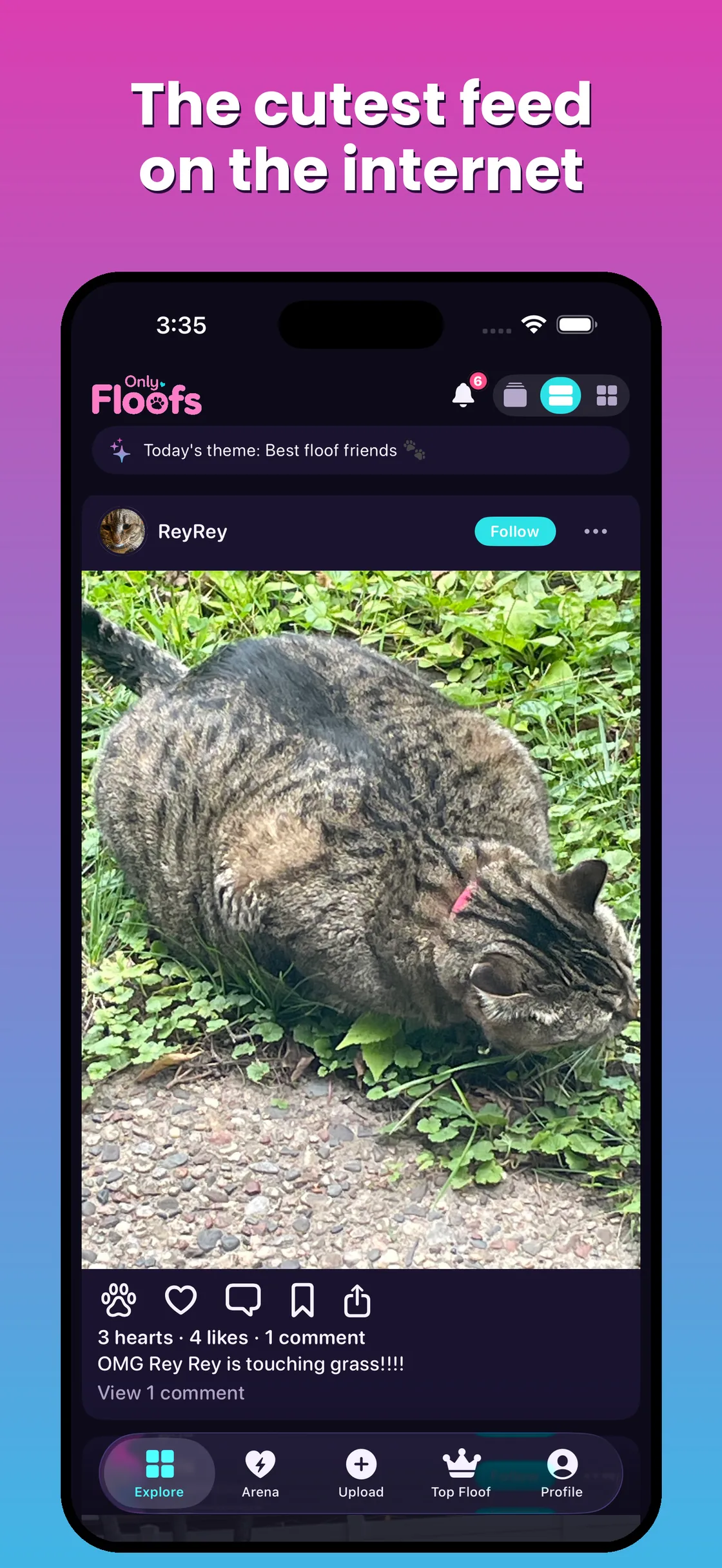 Only Floofs scrolling feed of cute pets