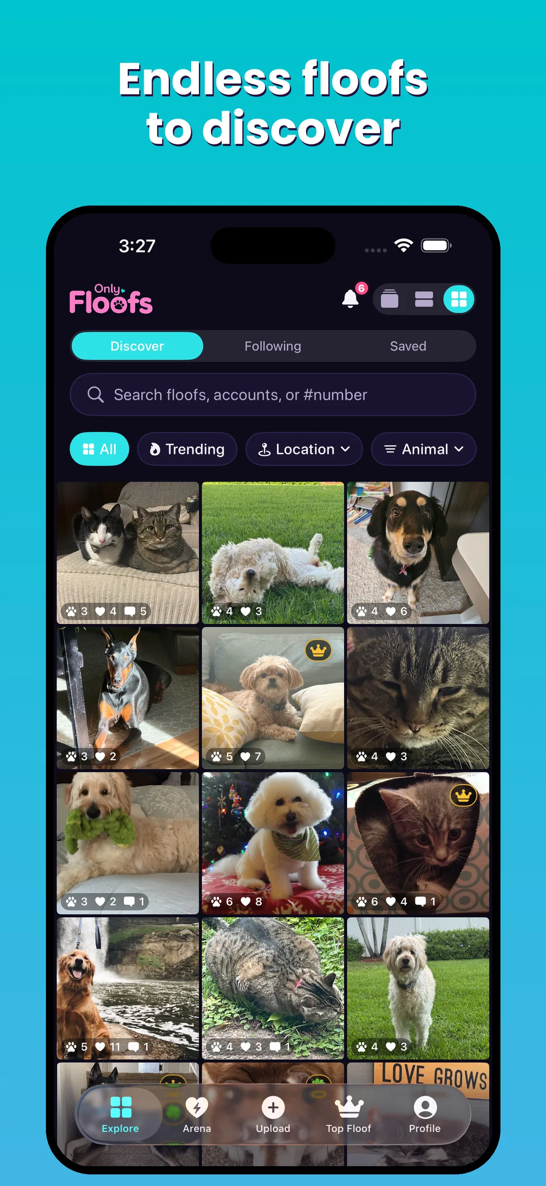 Only Floofs endless pet feed