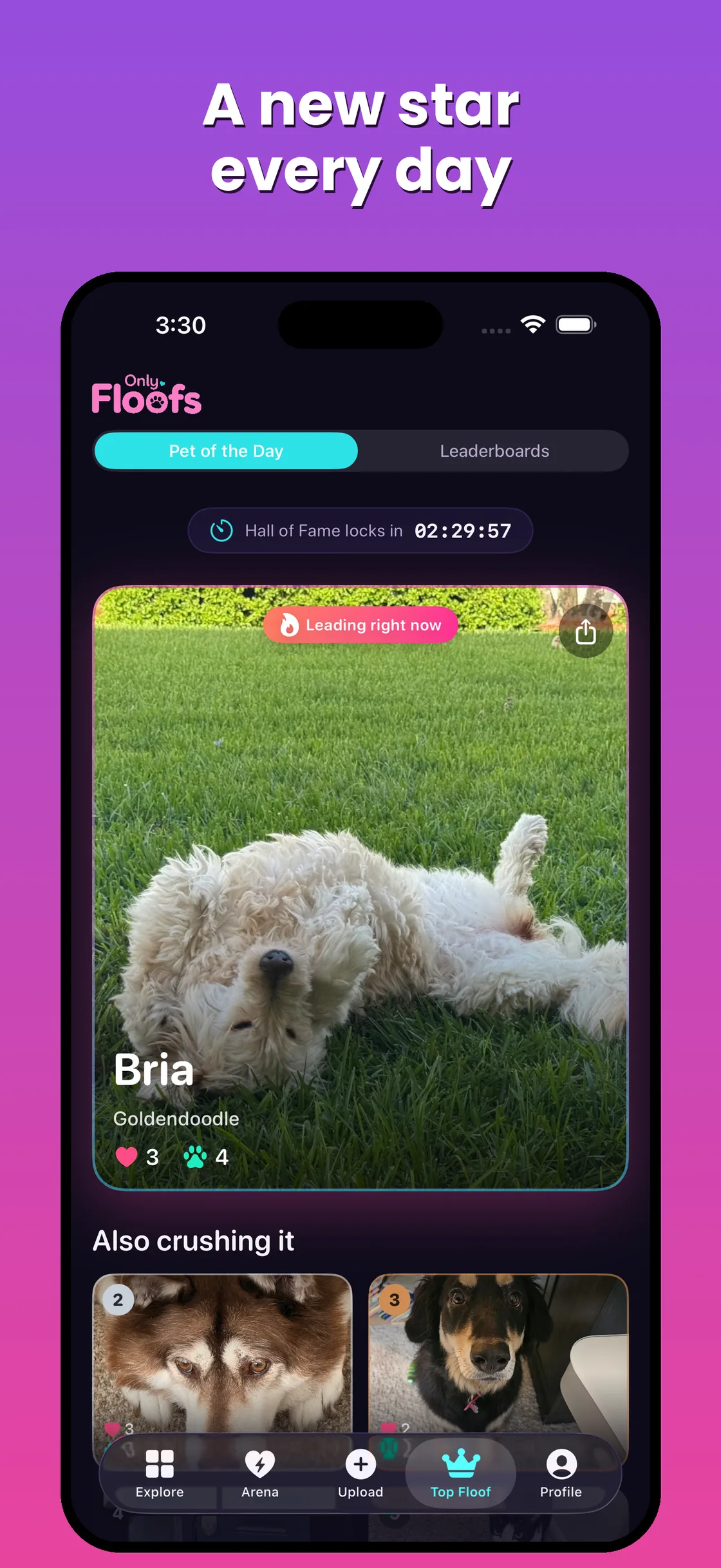 Only Floofs Pet of the Day
