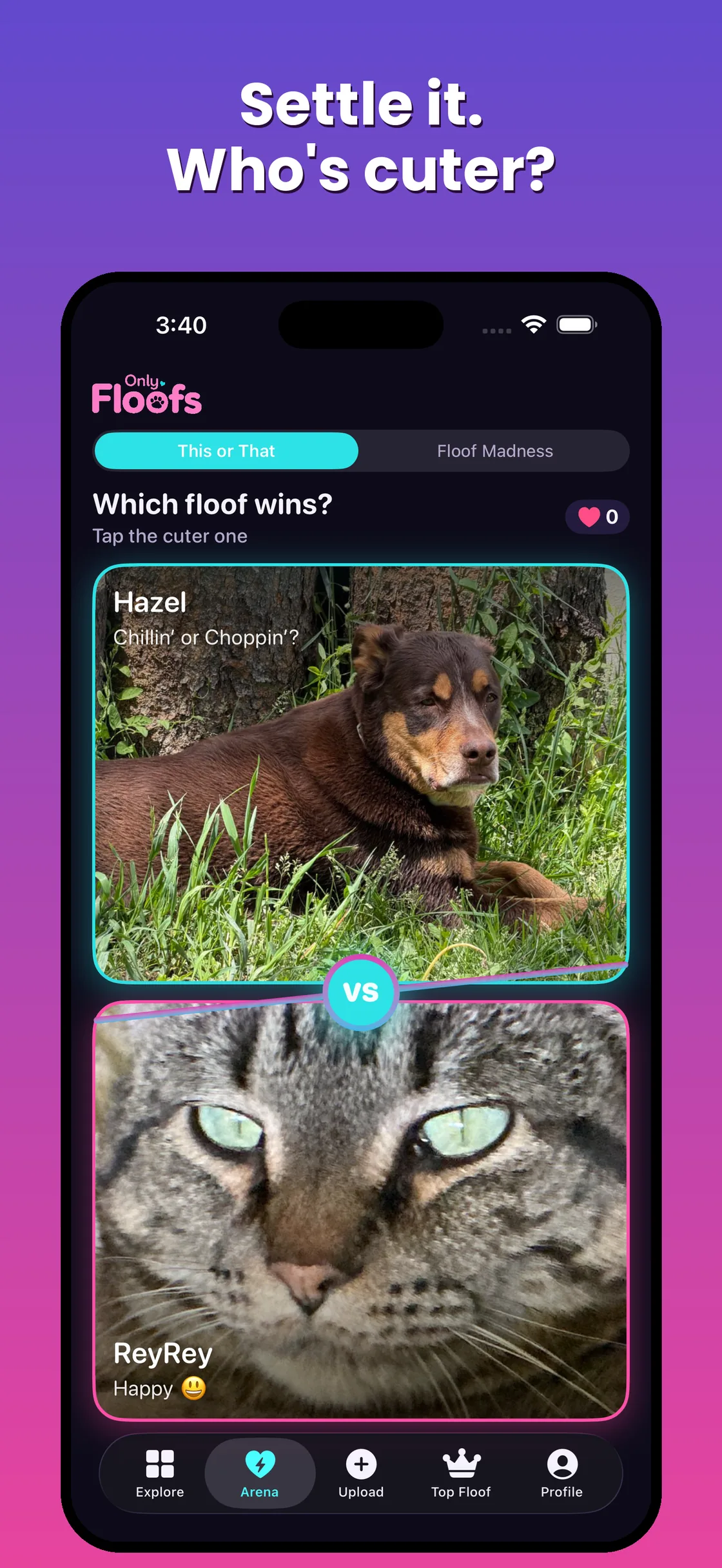 Only Floofs This or That matchup