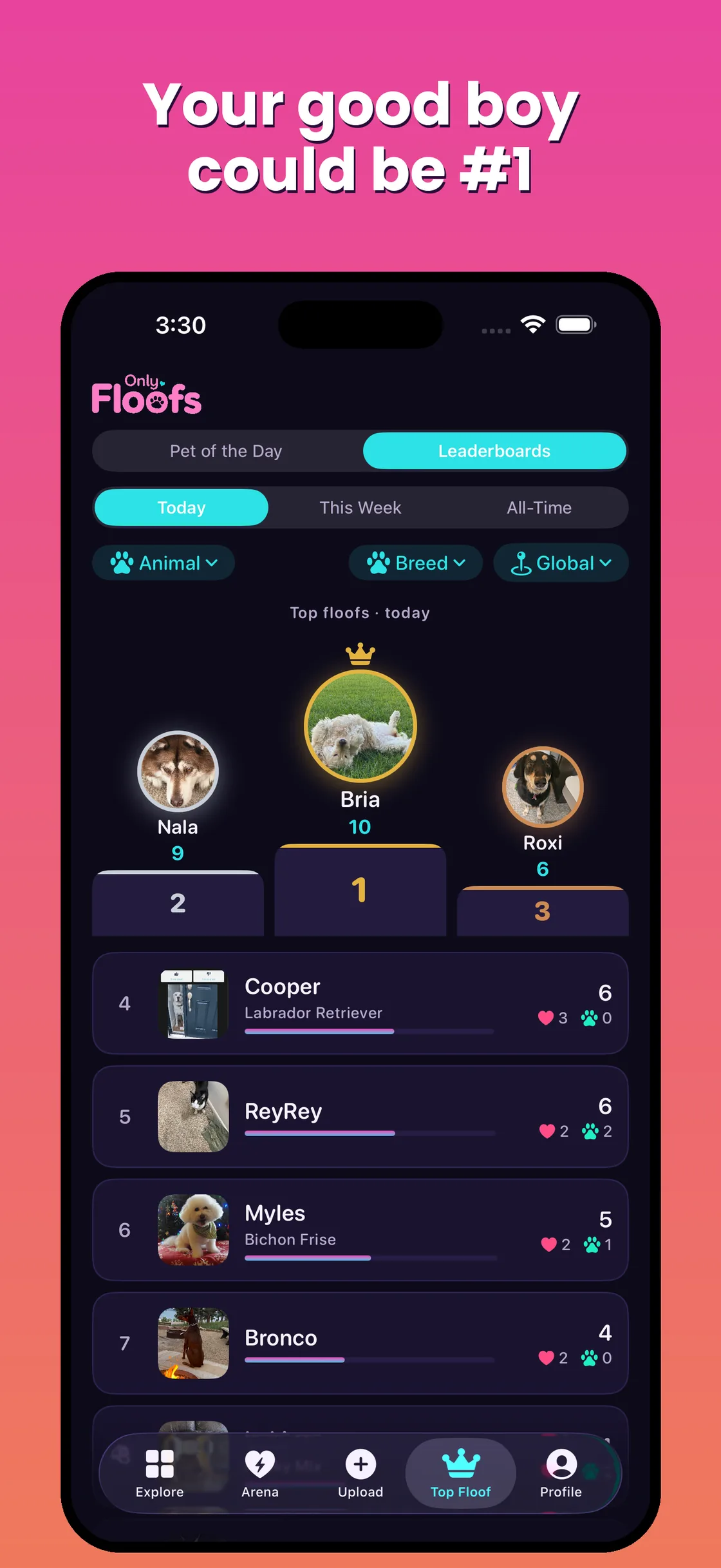 Only Floofs leaderboard