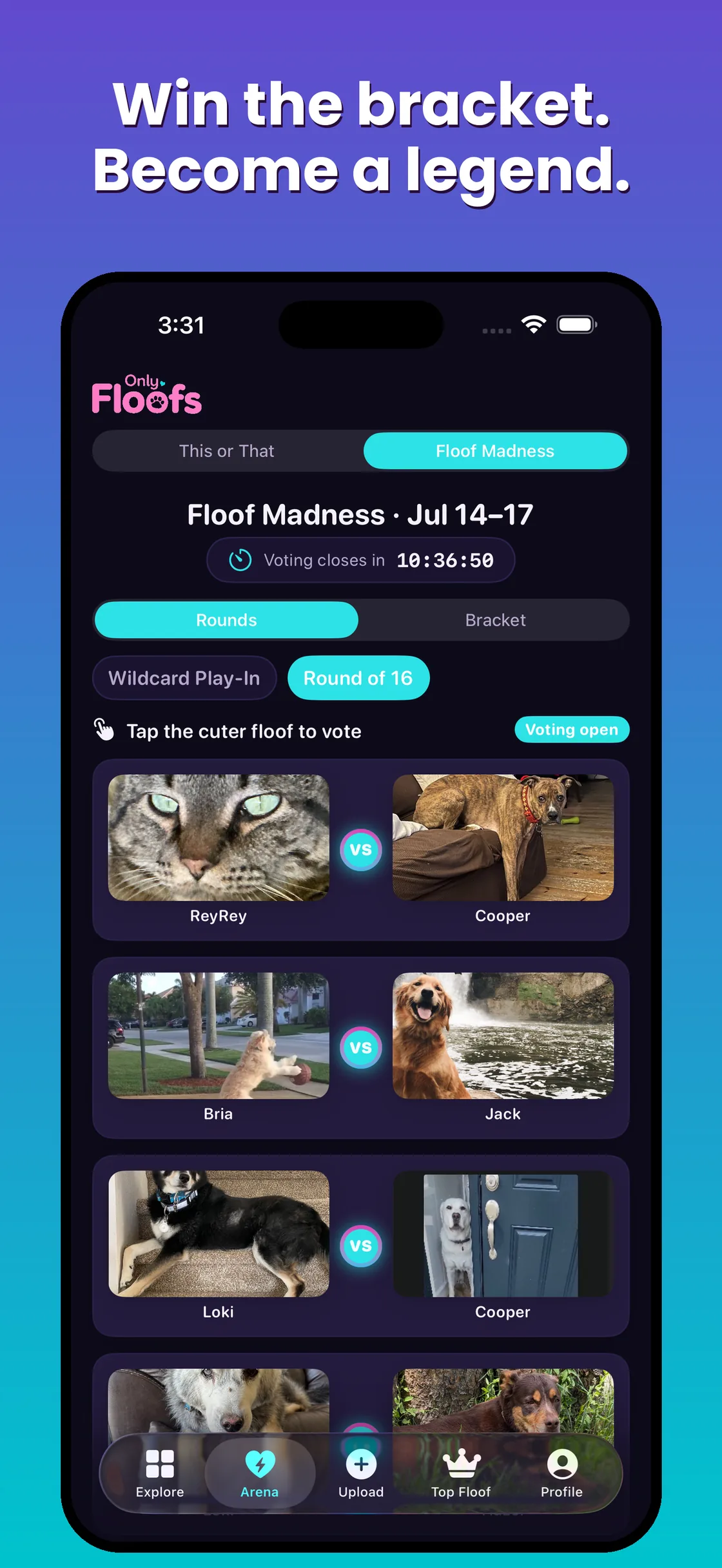 Only Floofs Floof Madness bracket