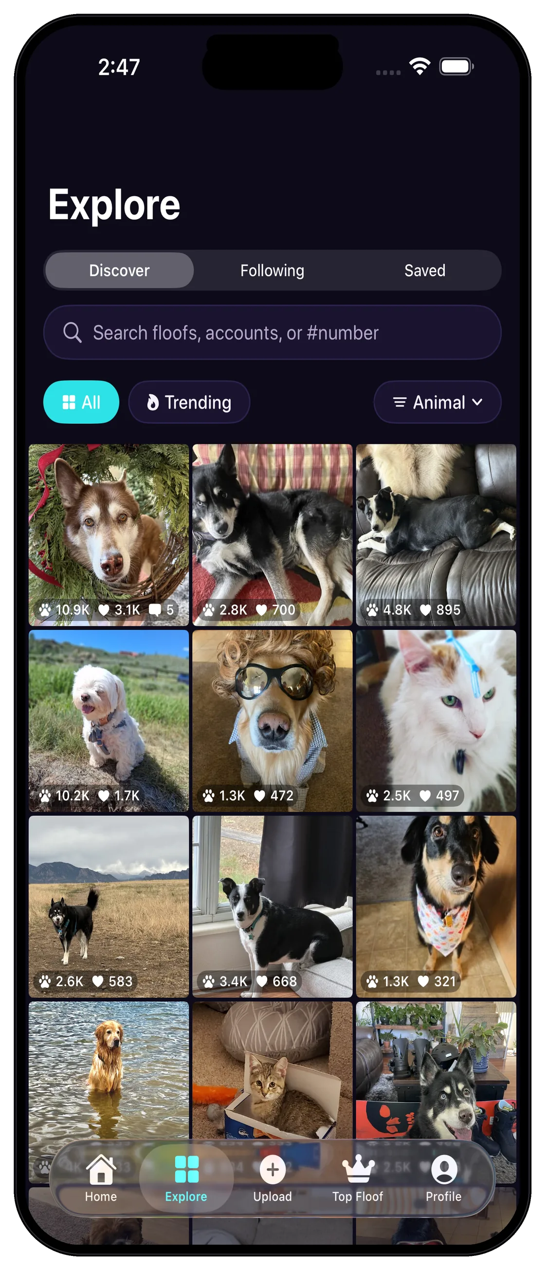 Only Floofs explore grid