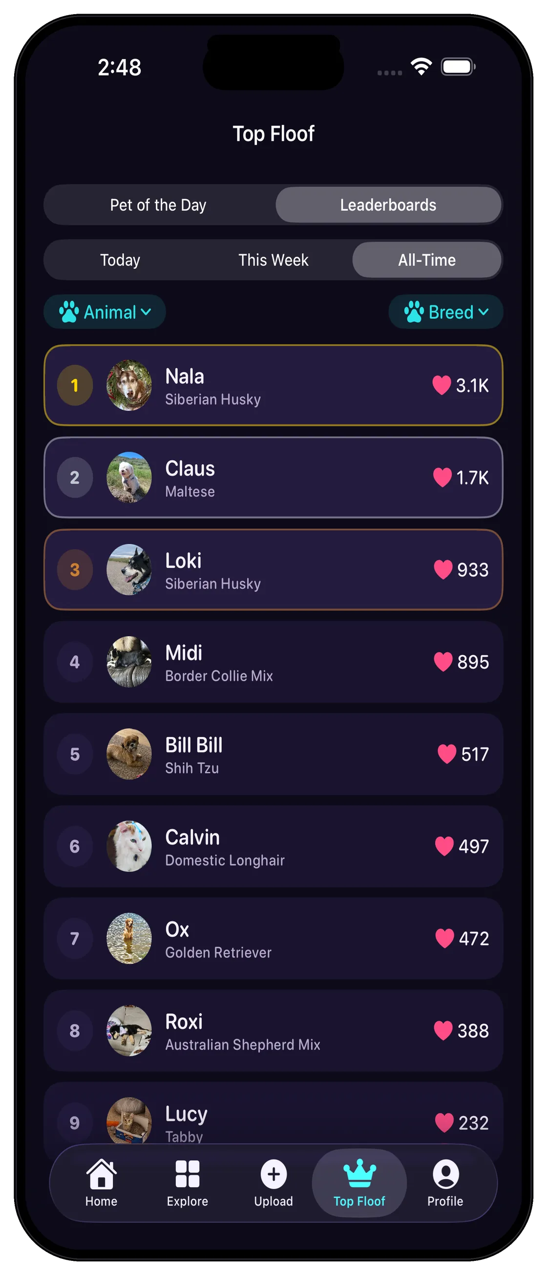 Only Floofs leaderboard