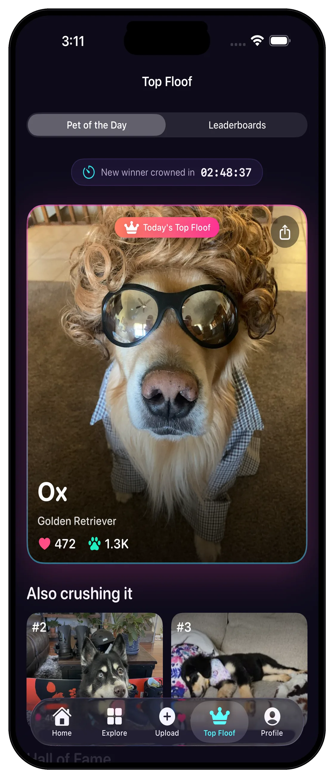 Only Floofs pet of the day